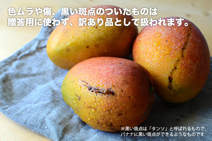 沖縄産完熟マンゴー
