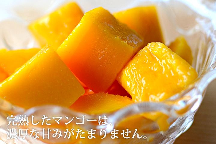 沖縄産完熟マンゴー