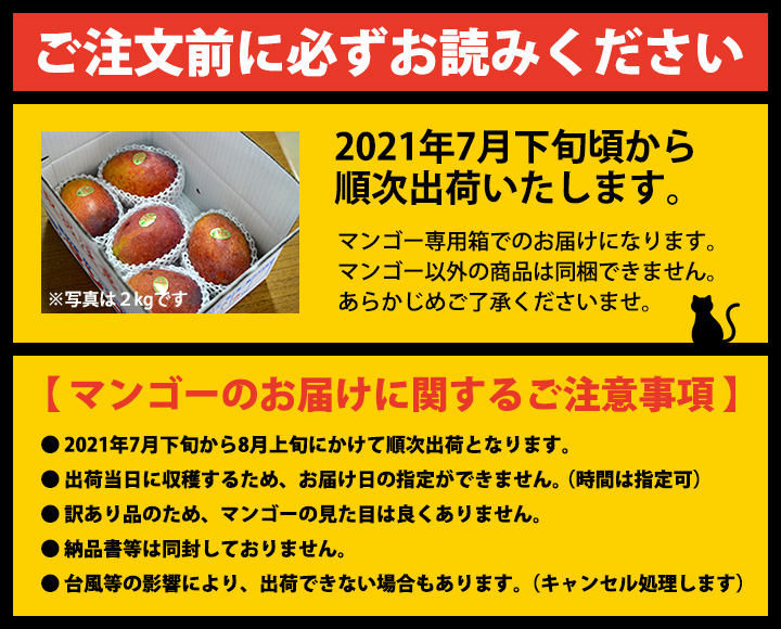 沖縄産完熟マンゴー
