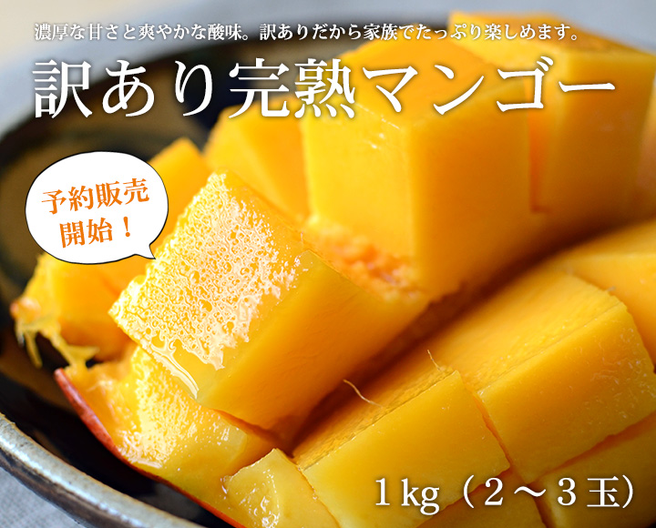 沖縄産完熟マンゴー